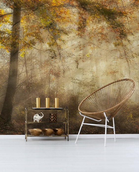 brown sunny forest wallpaper mural hero image