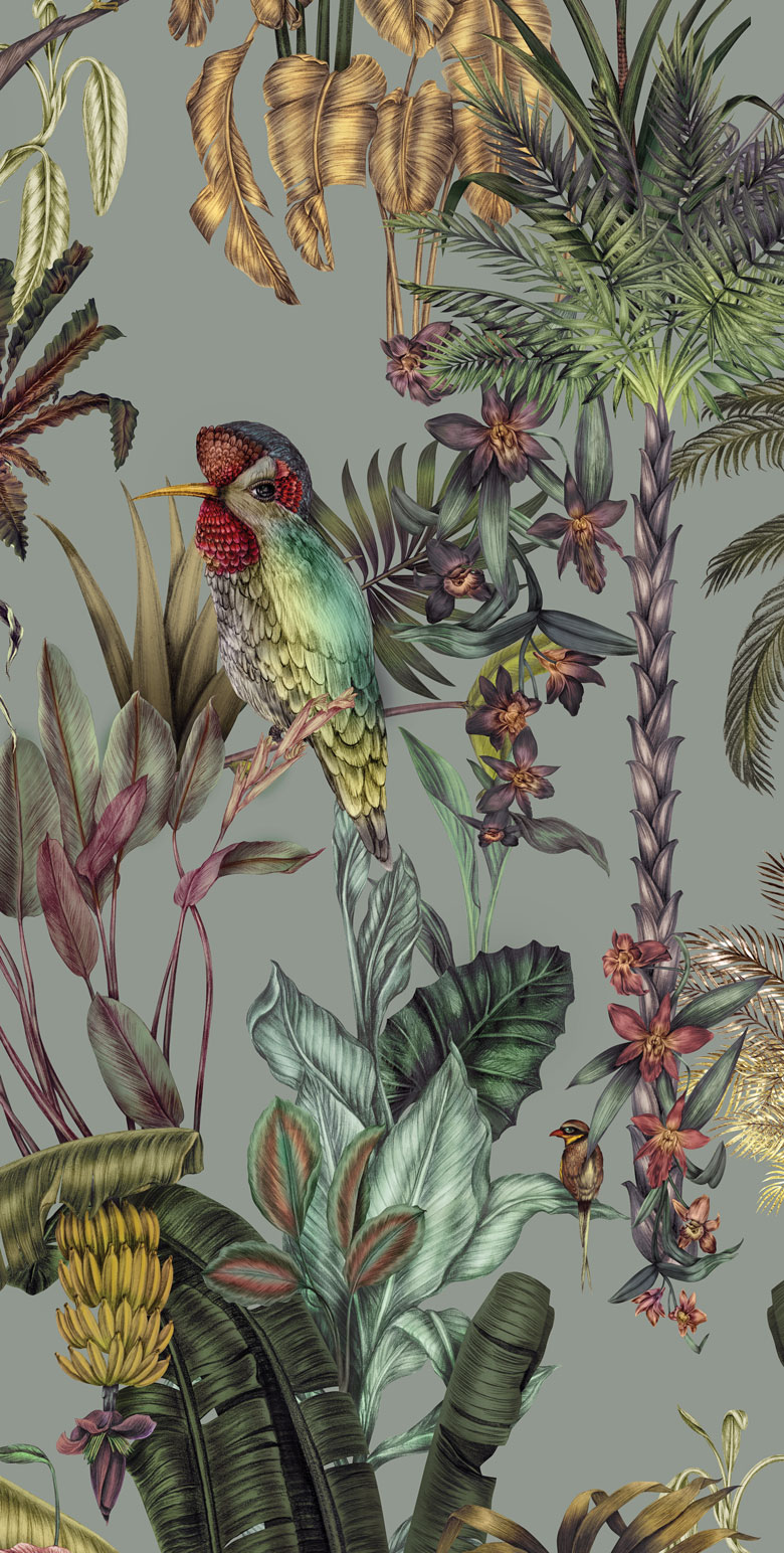 Exotic tropical bird wallpaper