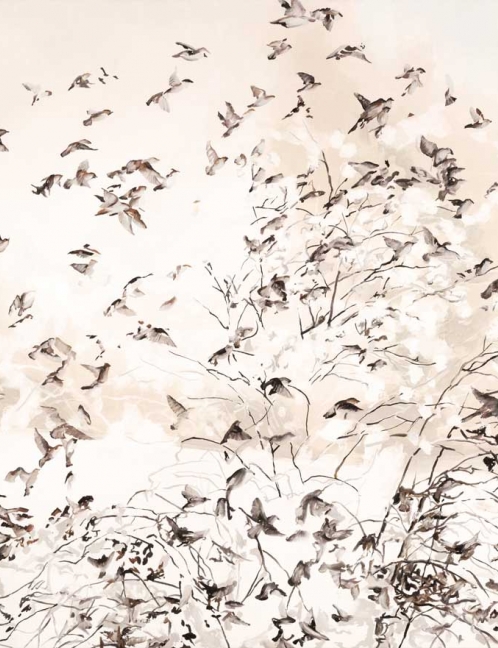 Bird wallpapers: 25+ original ideas to feather your nest - Feathr™