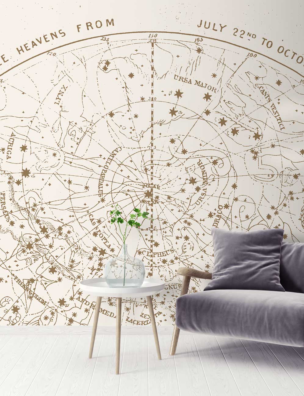 White Vintage Constellation Wallpaper Mural  Feathr Wallpapers
