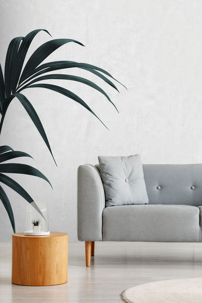 concrete palm wallpaper
